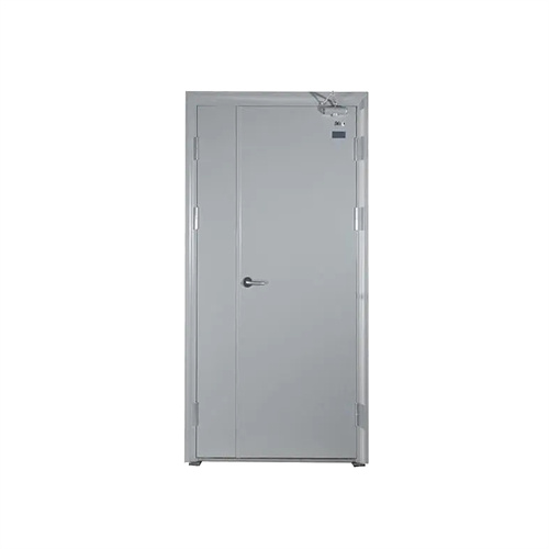 Endoscopic battery storage enclosure market